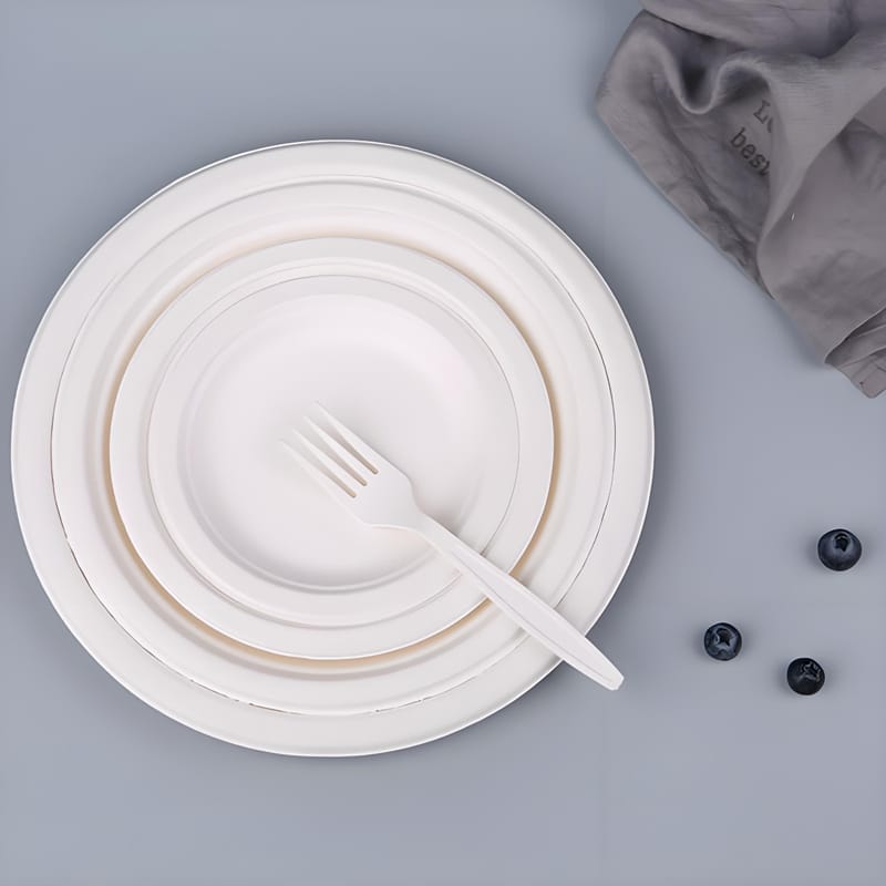 Standard-Size-Disposable-Paper-Plate.jpg