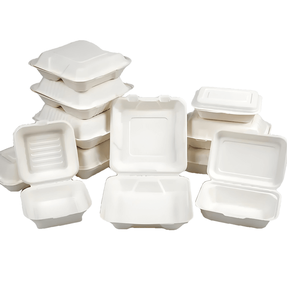 Sugarcane-Bagasse-Clamshell-Box-2.png
