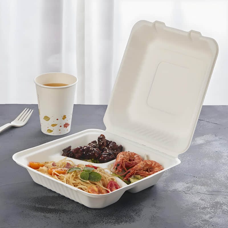 sugarcane-bagasse-food-container.jpg