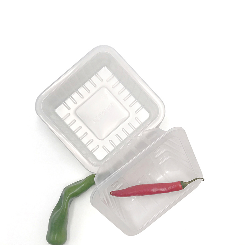 1414H35 PP Tray