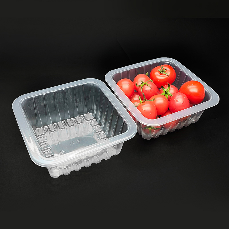 1414H60 PP Tray