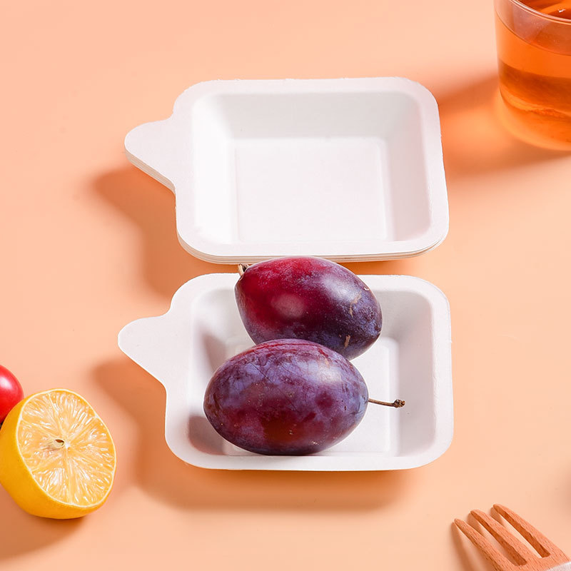 Bagasse Cake Square Plate