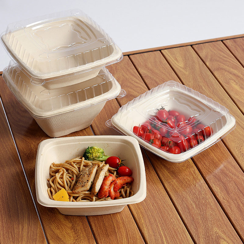 Bagasse Salad Bowl