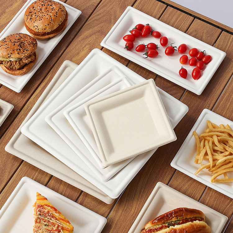 Biodegradable Plate for Party and Events