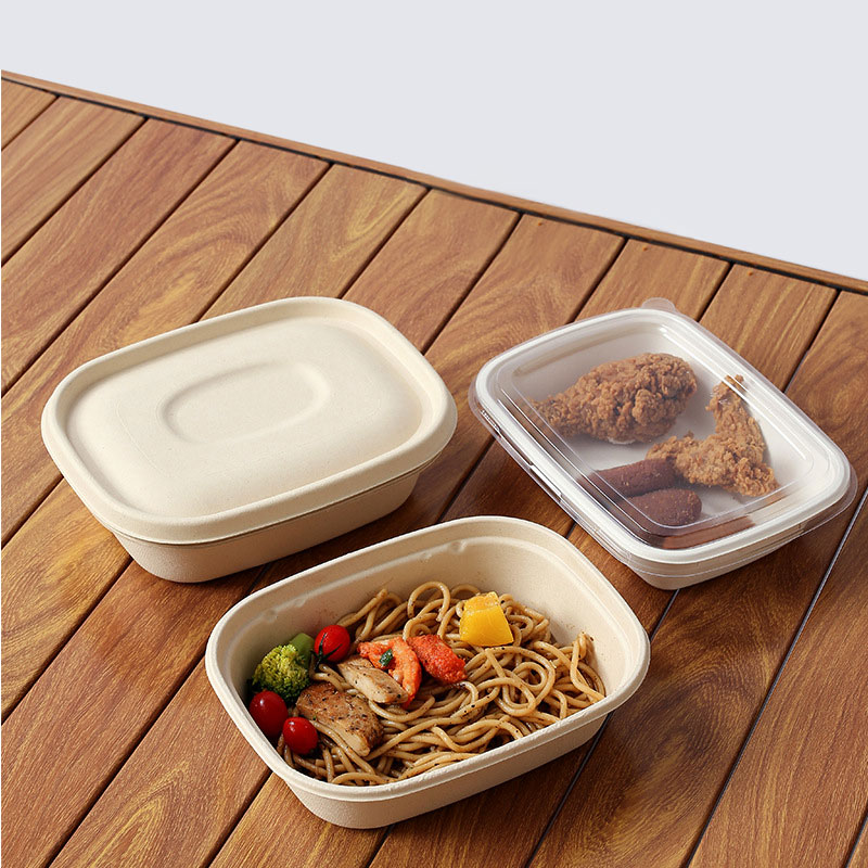 Biodegradable Takeout Box