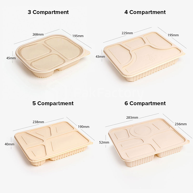 Compartments Food Container1