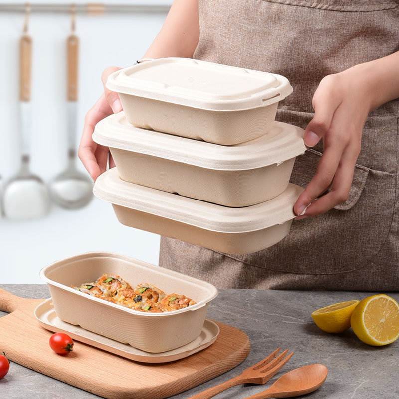 Compostable Lunch Box