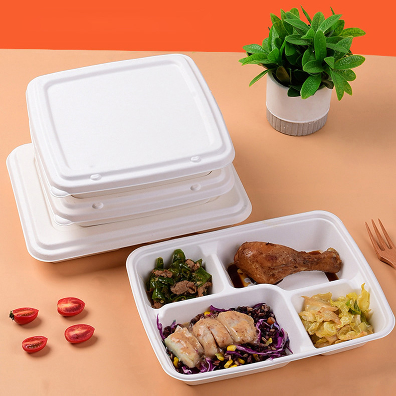 Compostable Take-Out Container
