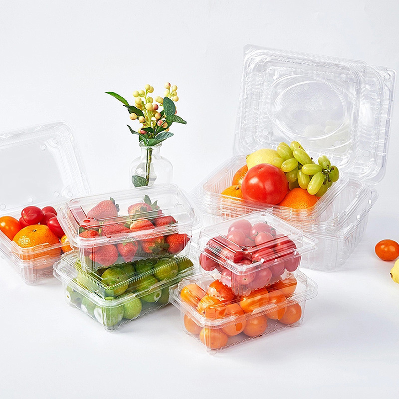 Disposable PET Food Container
