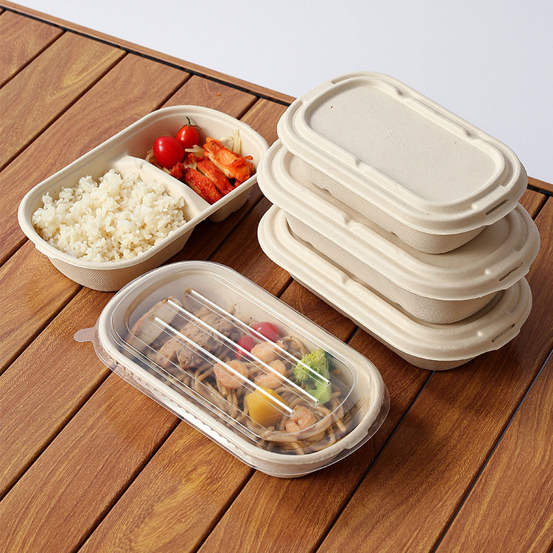 Eco-Friendly Bento Box