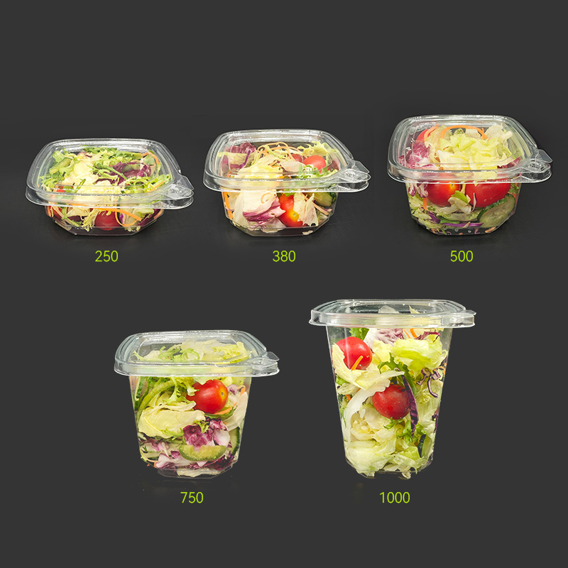 PET Salad Container with Lid