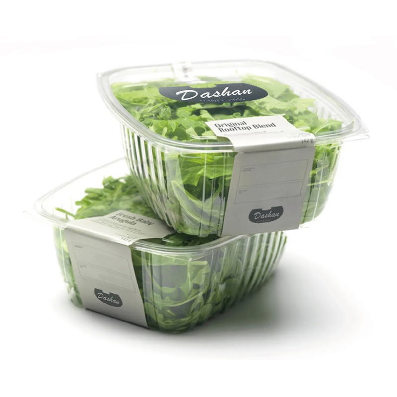 PET Salad Container