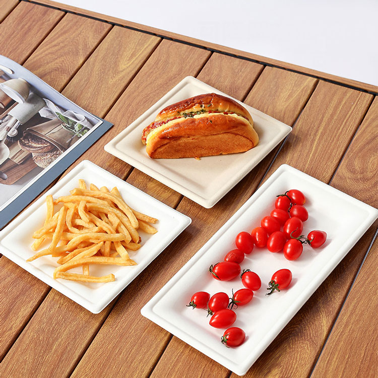 Square Sugarcane Plate