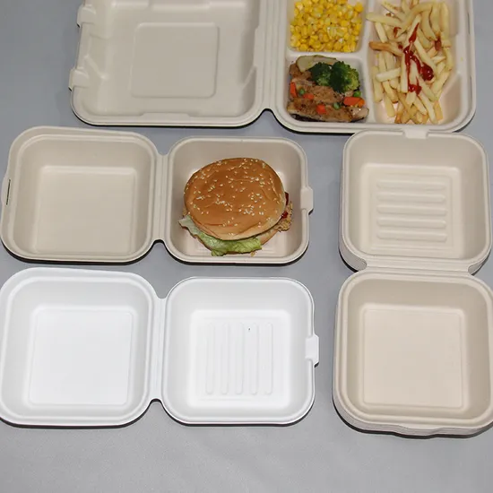 Sugarcane Bagase Hinged Clamshell Box