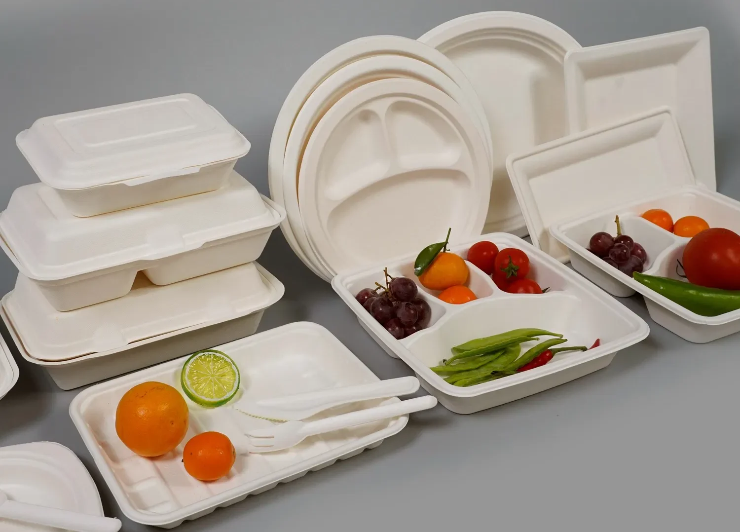 Sugarcane Bagase Tray3