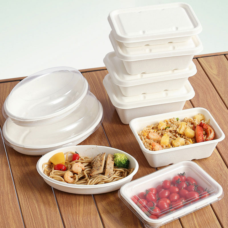 Sugarcane Bagasse Take-Out Containers with Lid